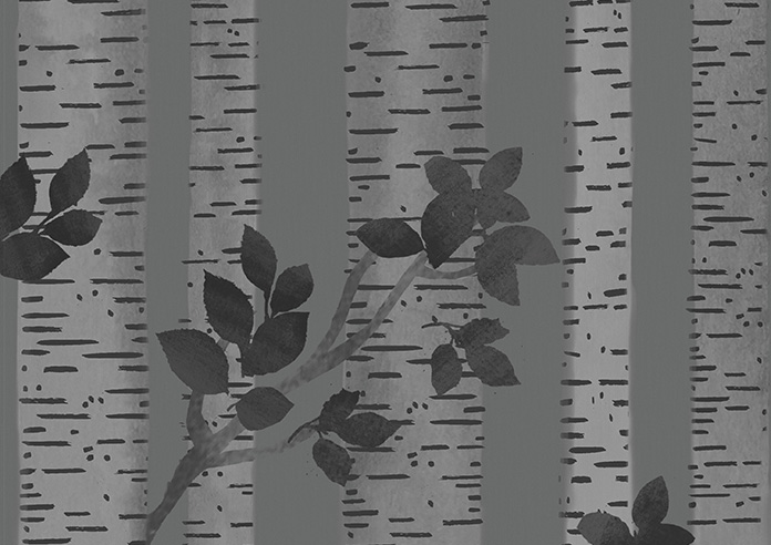 Birch Tree Velvet, Monochrome - Roman Blind - Image 7
